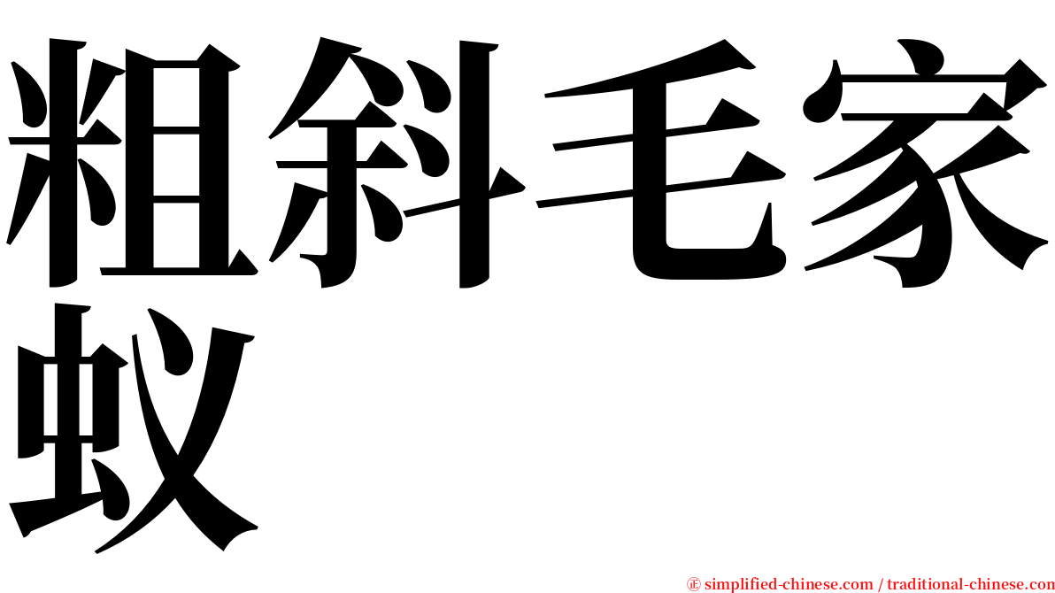 粗斜毛家蚁 serif font