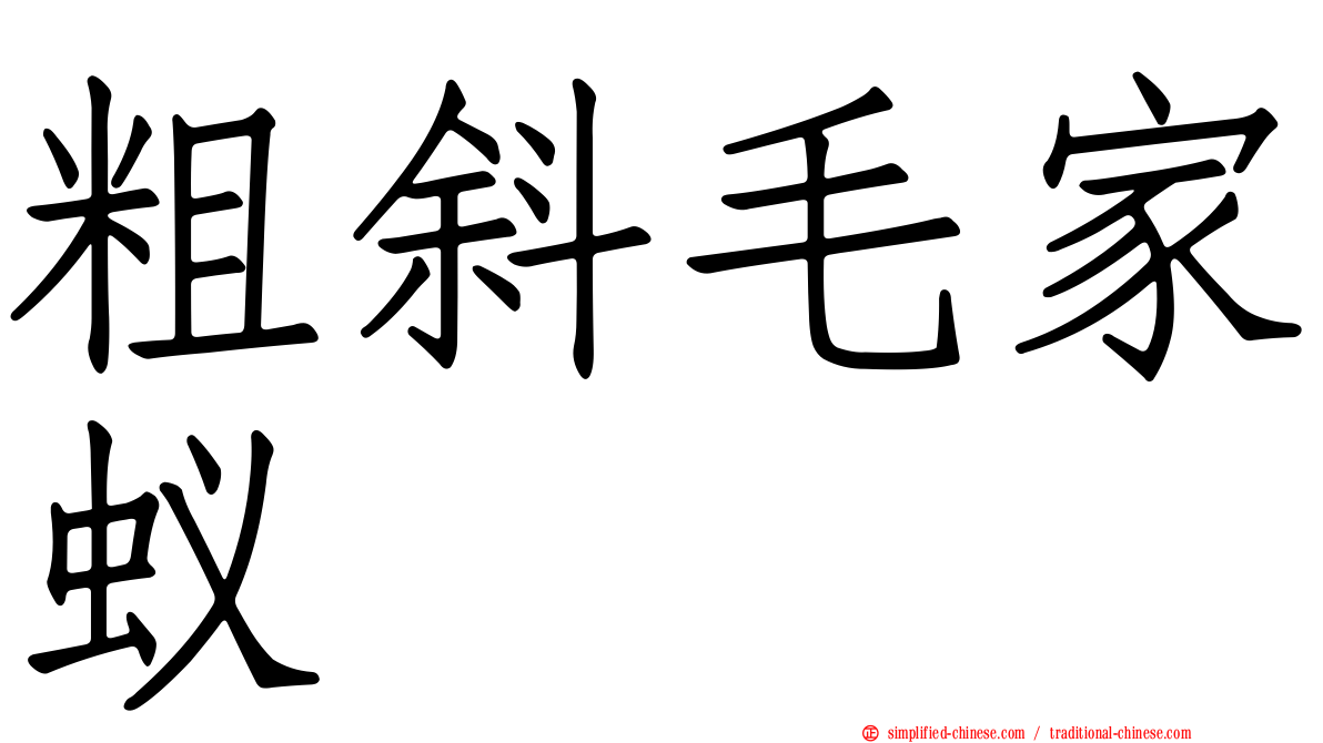粗斜毛家蚁