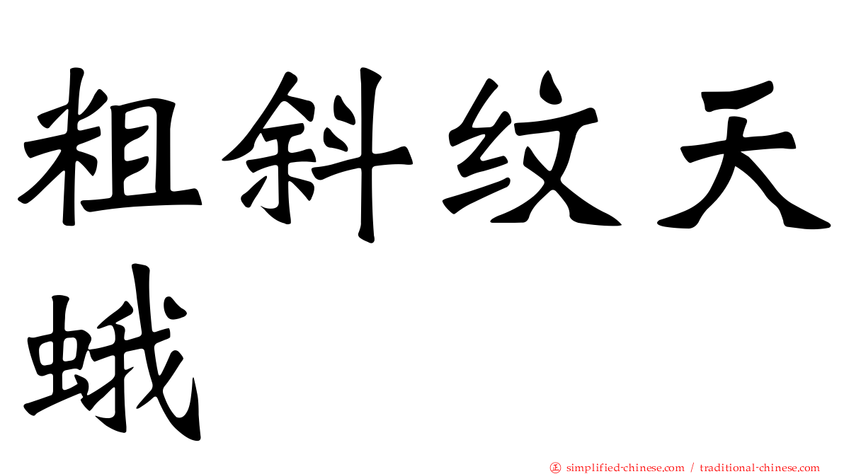 粗斜纹天蛾