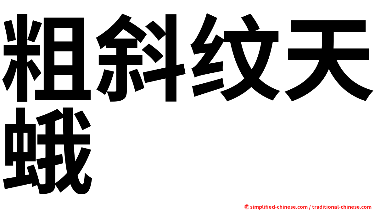 粗斜纹天蛾