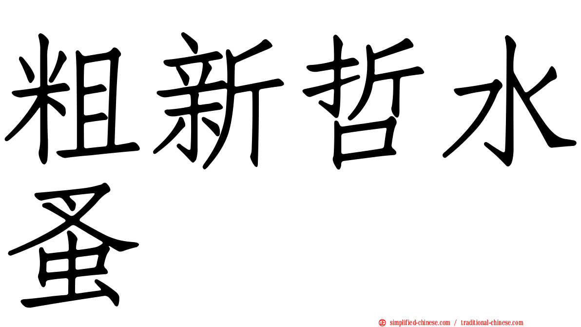 粗新哲水蚤