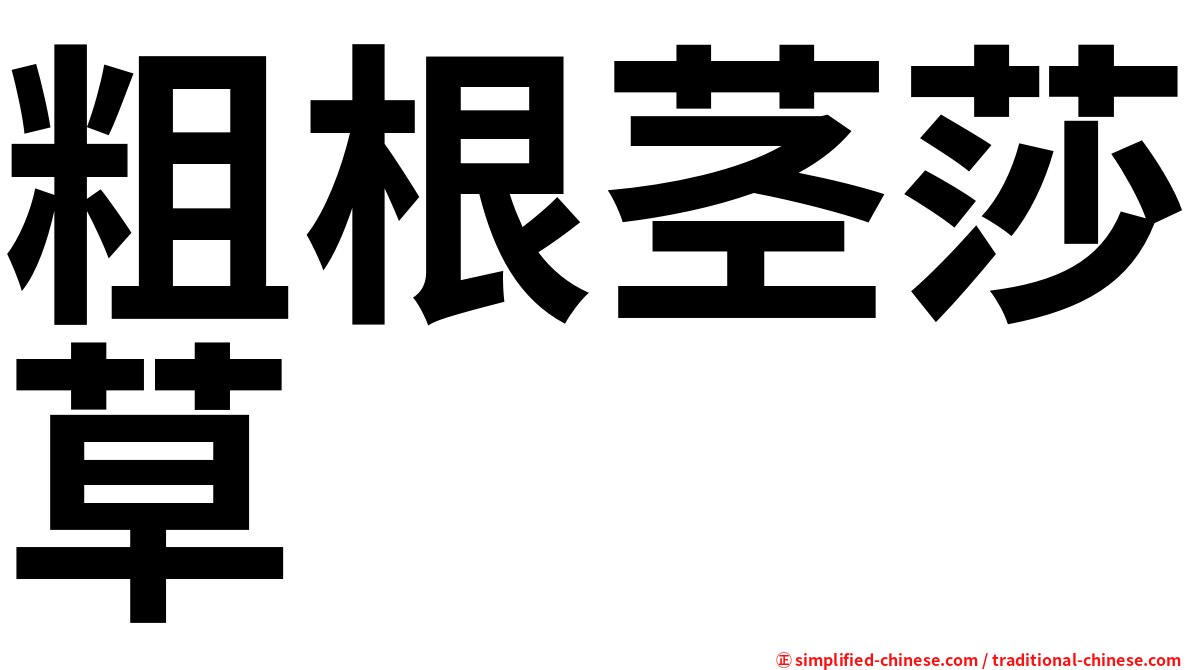 粗根茎莎草