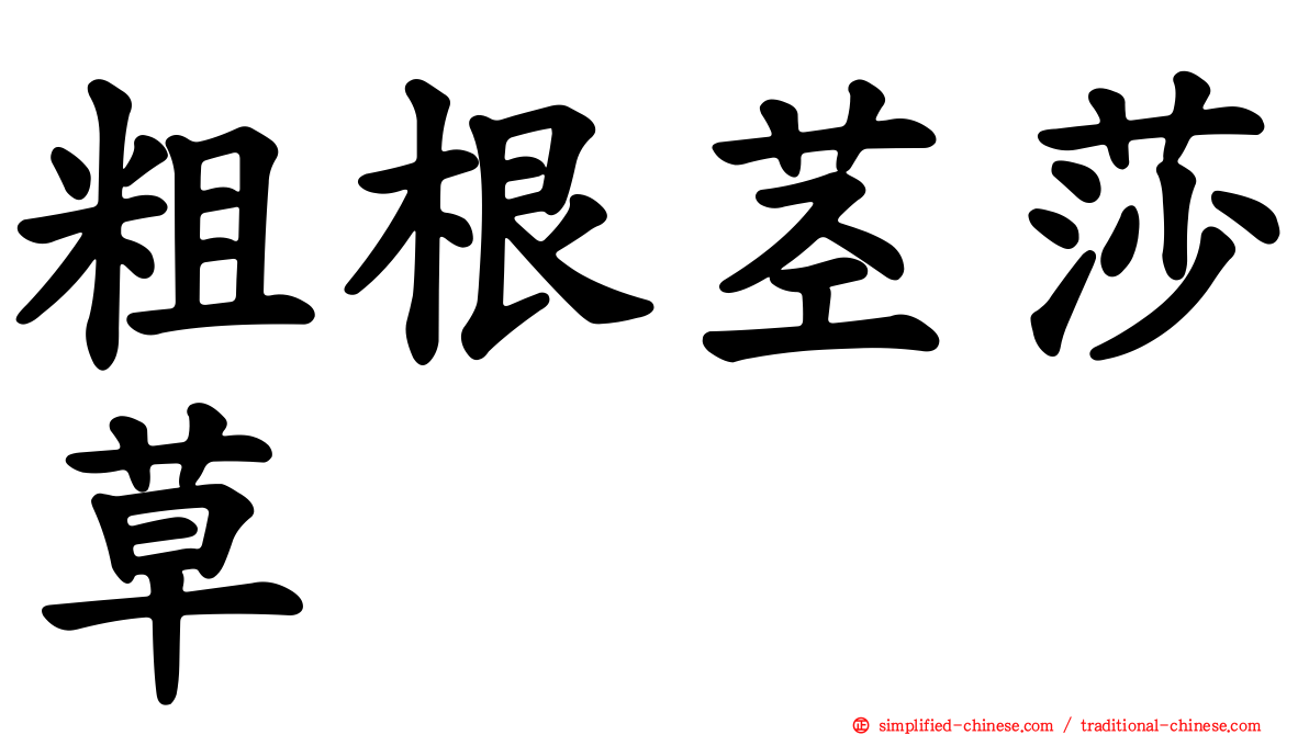 粗根茎莎草