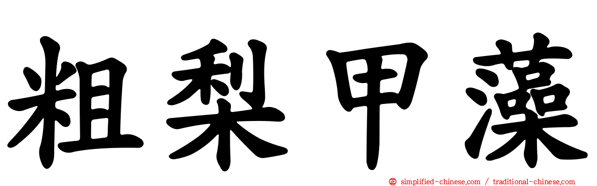 粗梨甲藻