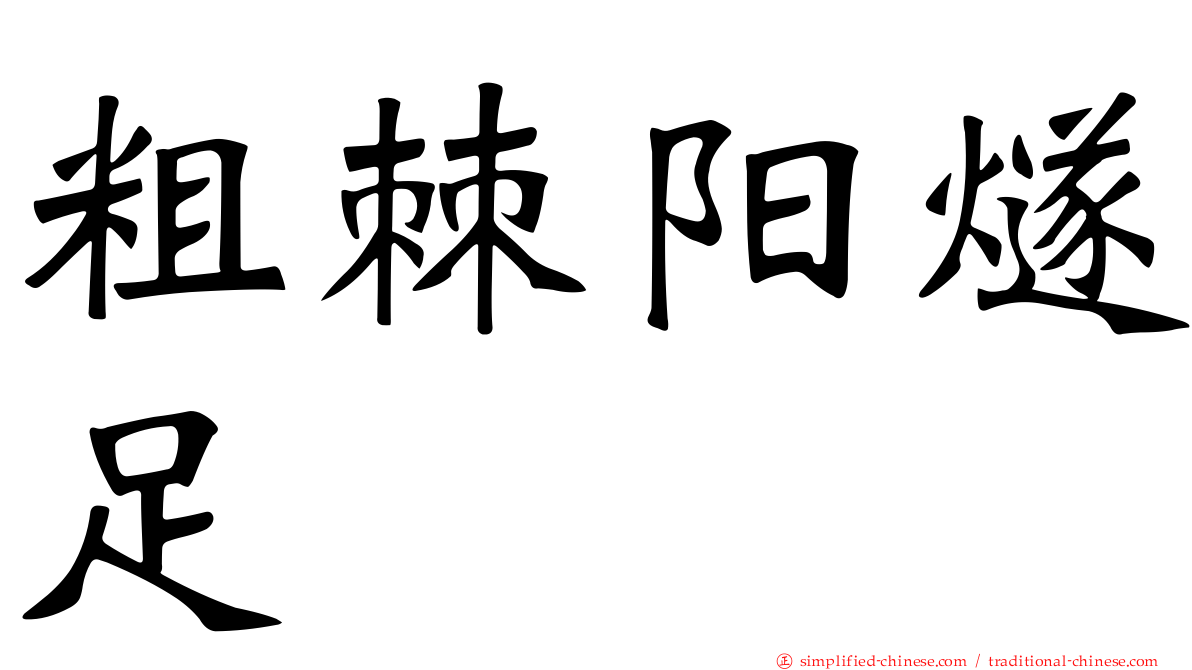 粗棘阳燧足