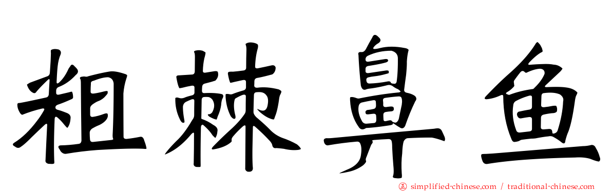 粗棘鼻鱼