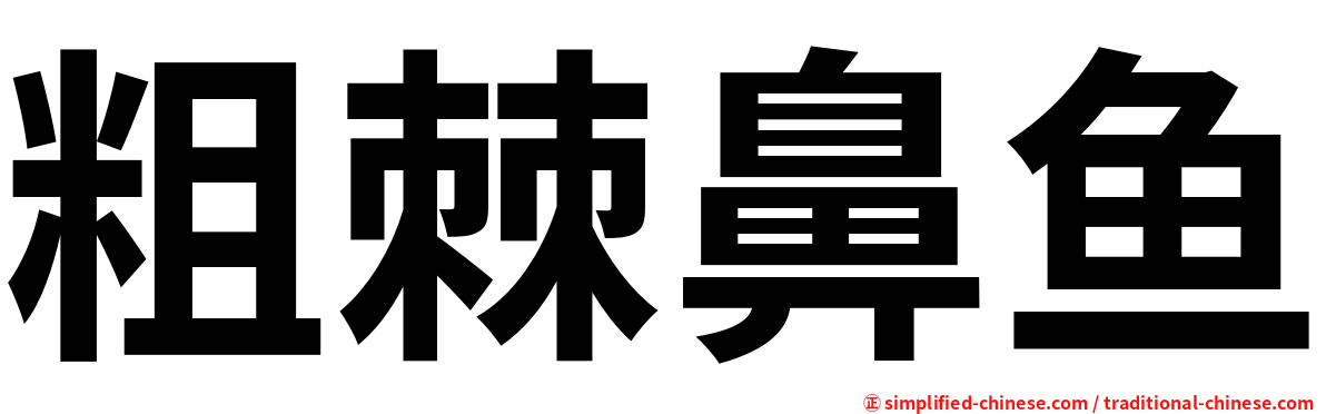 粗棘鼻鱼
