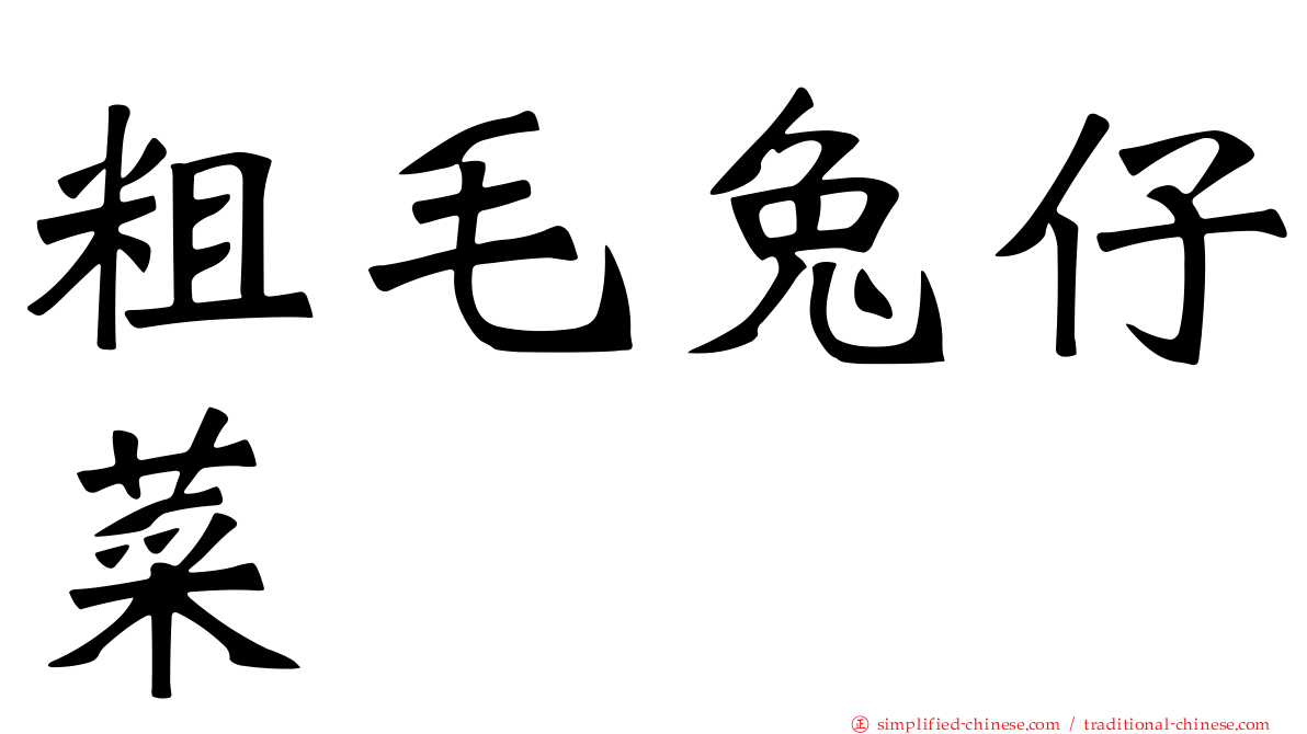 粗毛兔仔菜