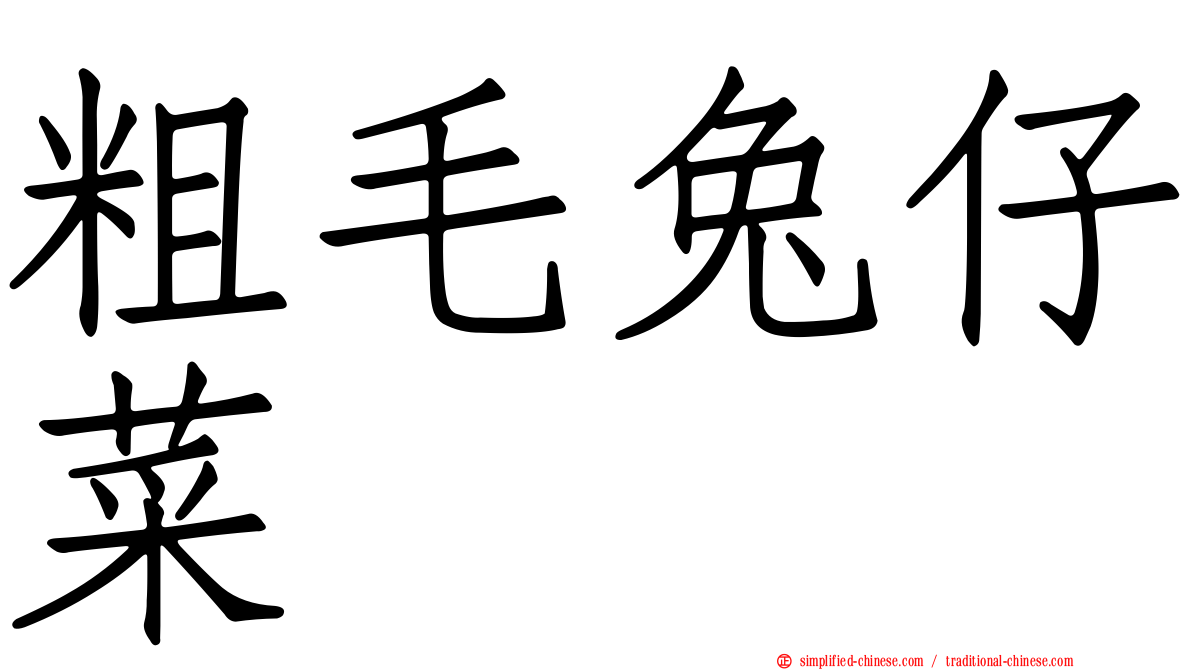 粗毛兔仔菜