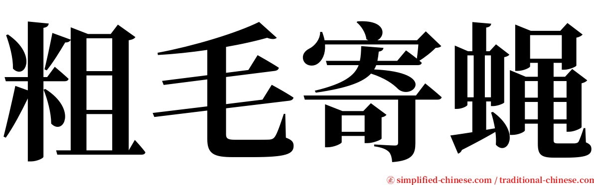 粗毛寄蝇 serif font