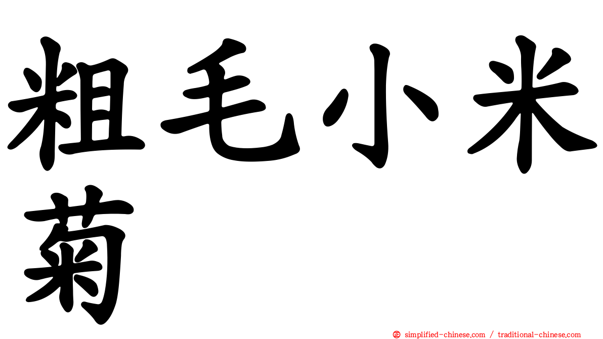 粗毛小米菊