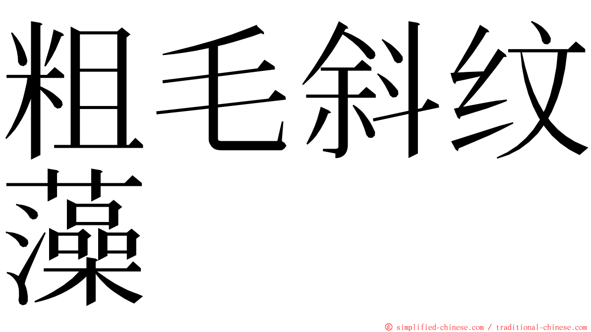粗毛斜纹藻 ming font