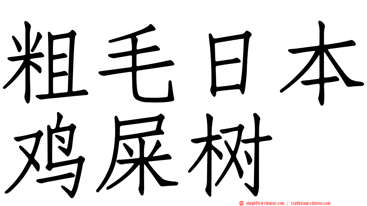 粗毛日本鸡屎树