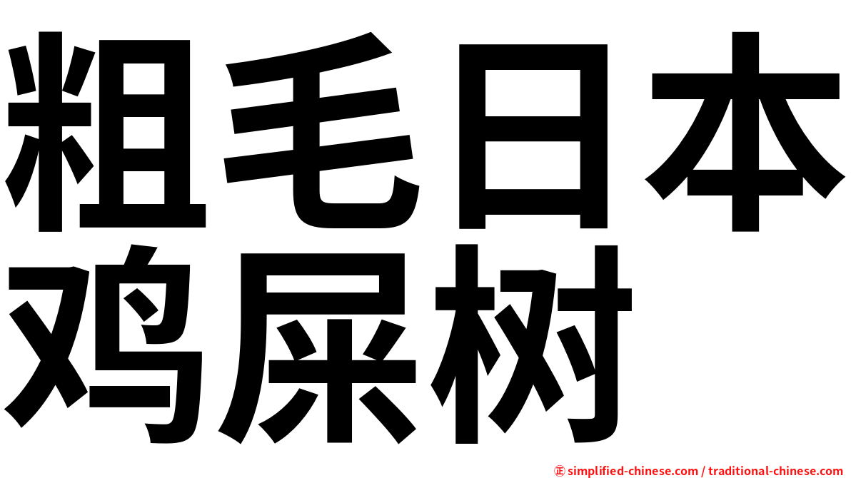 粗毛日本鸡屎树