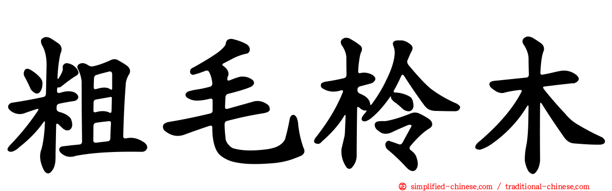 粗毛柃木