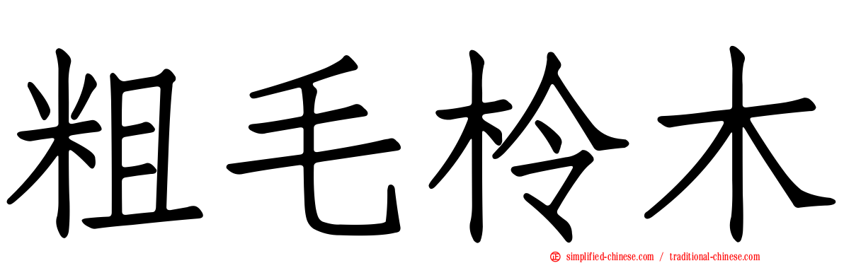 粗毛柃木