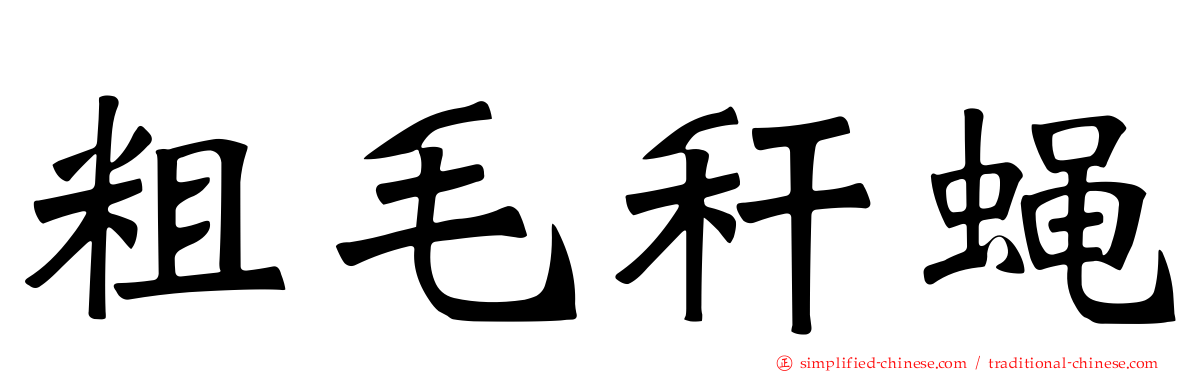 粗毛秆蝇