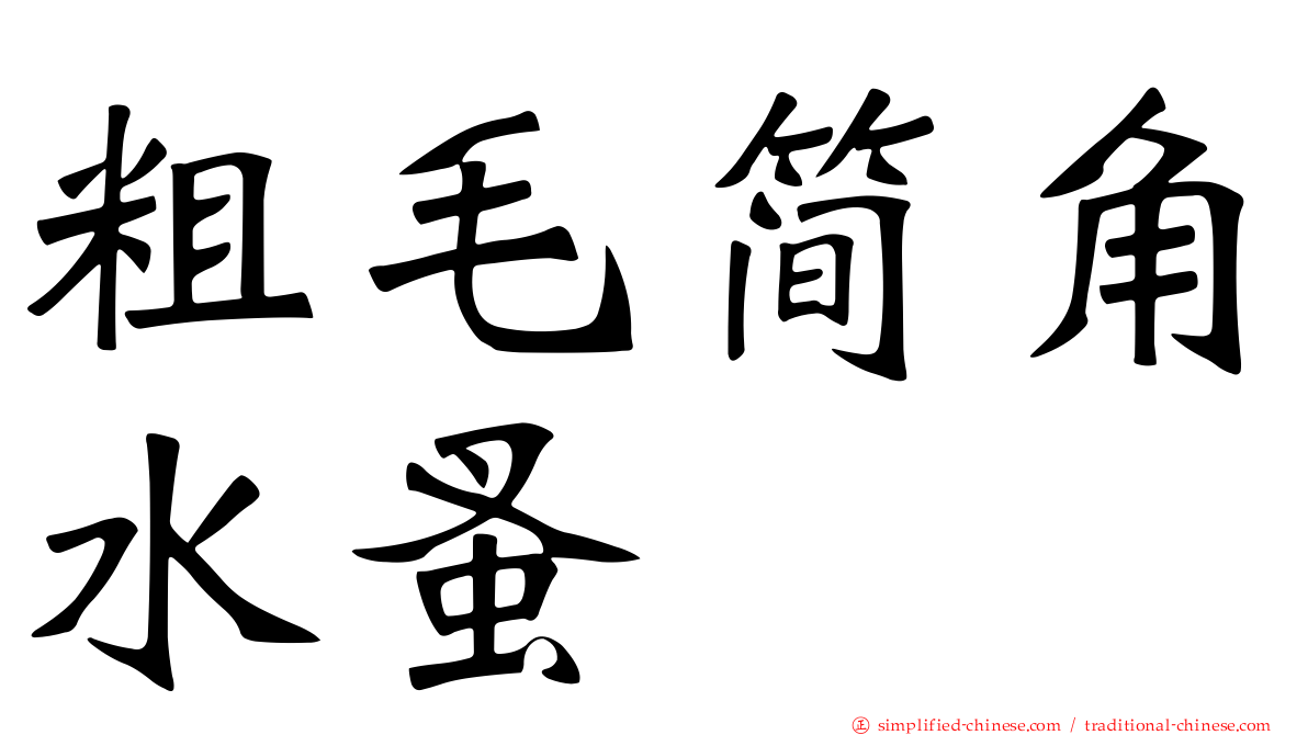 粗毛简角水蚤