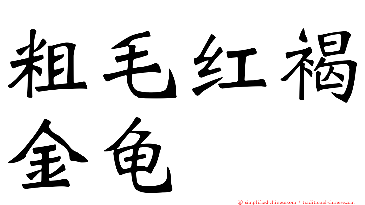 粗毛红褐金龟