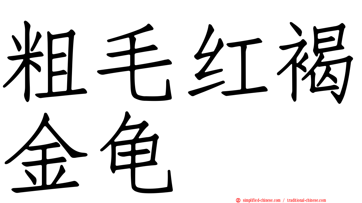 粗毛红褐金龟