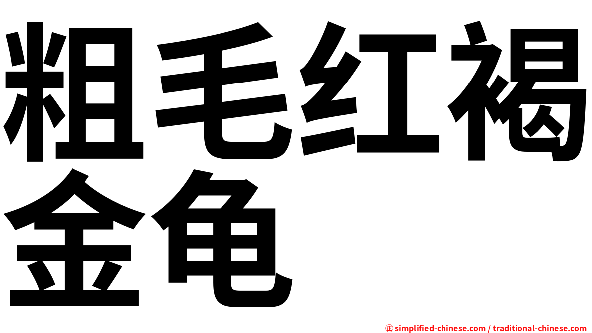 粗毛红褐金龟