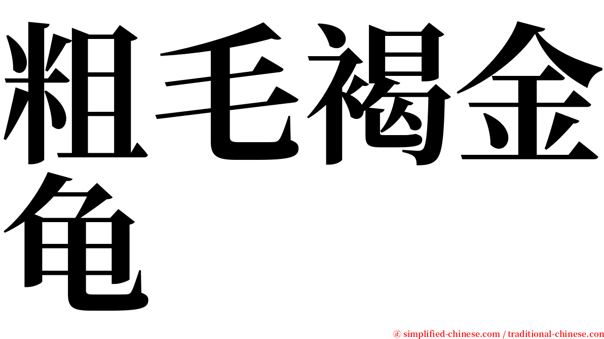 粗毛褐金龟 serif font