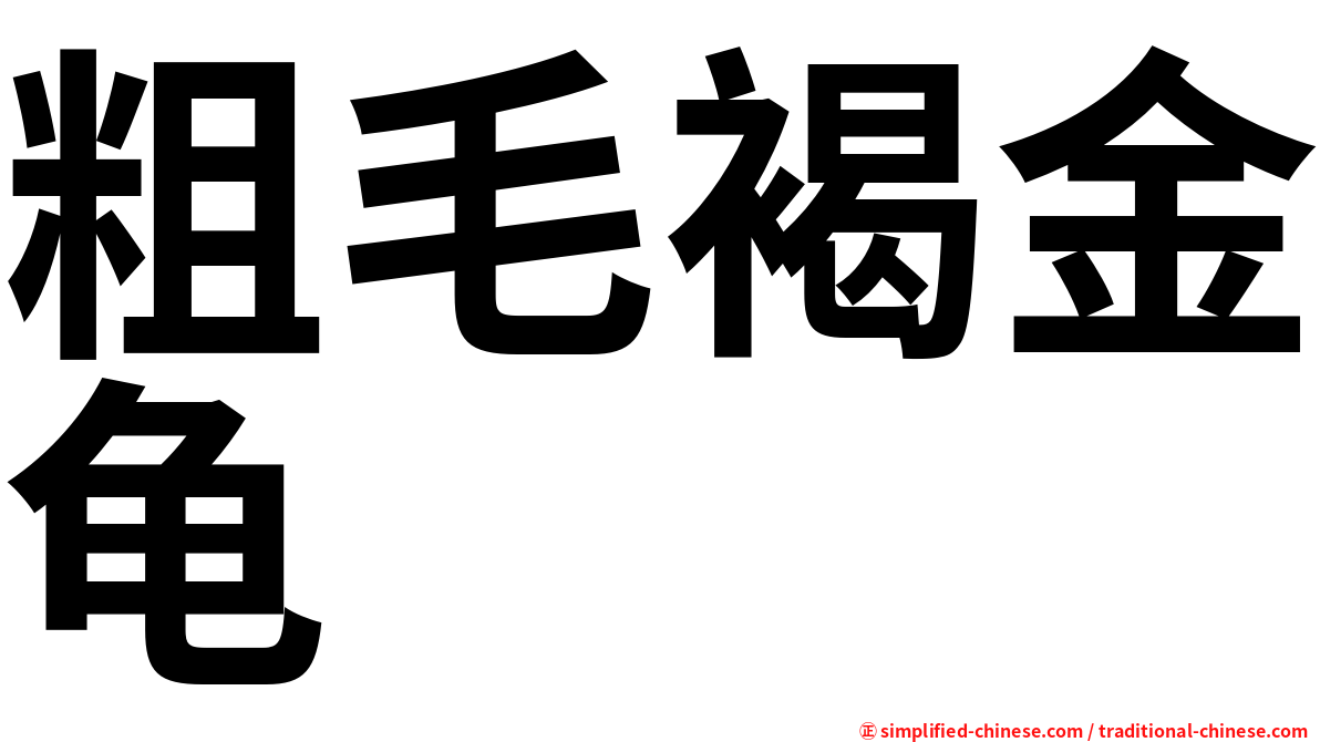 粗毛褐金龟
