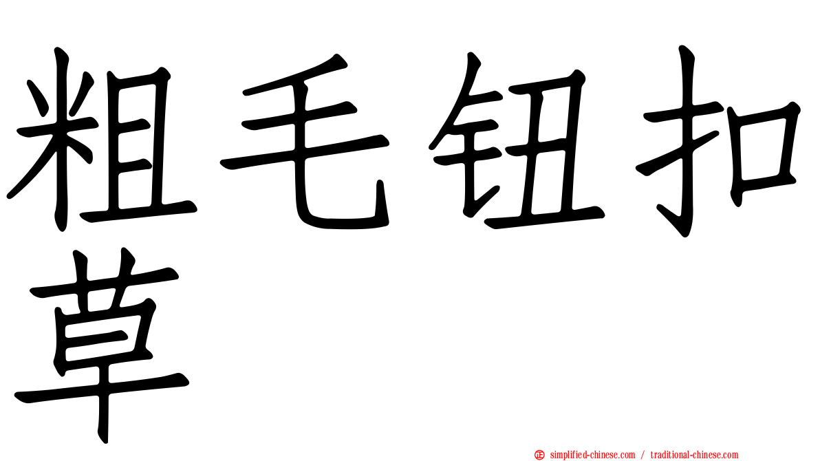 粗毛钮扣草