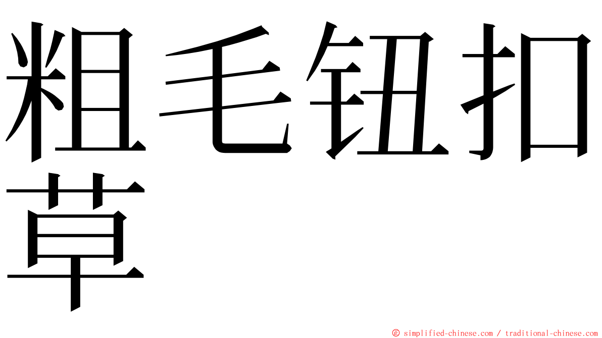 粗毛钮扣草 ming font
