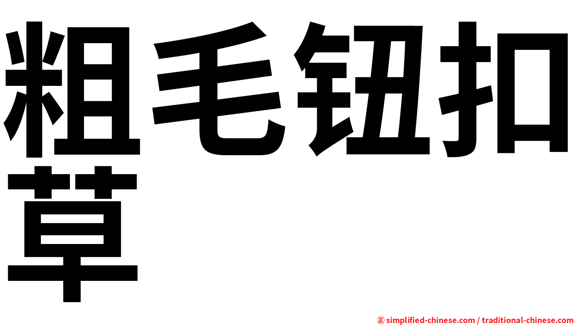 粗毛钮扣草