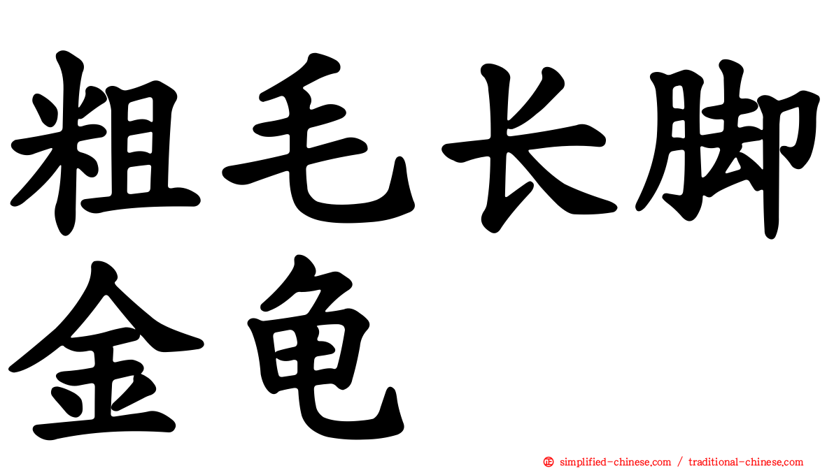 粗毛长脚金龟