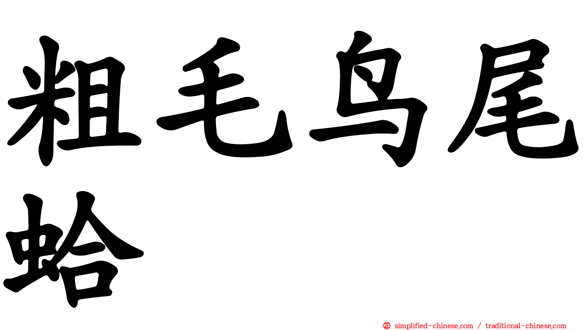 粗毛鸟尾蛤