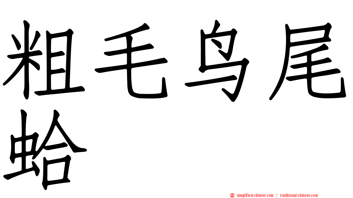 粗毛鸟尾蛤