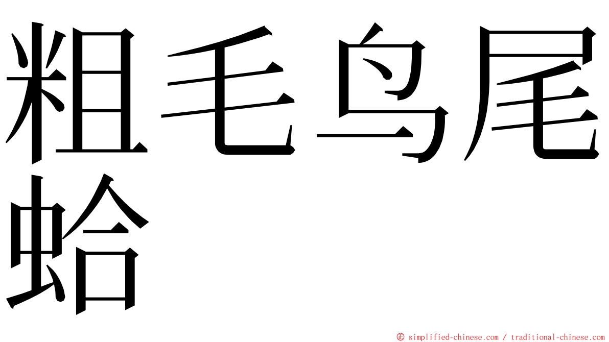 粗毛鸟尾蛤 ming font