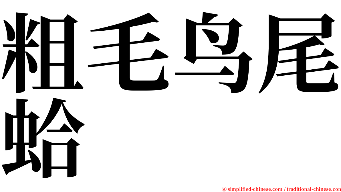 粗毛鸟尾蛤 serif font