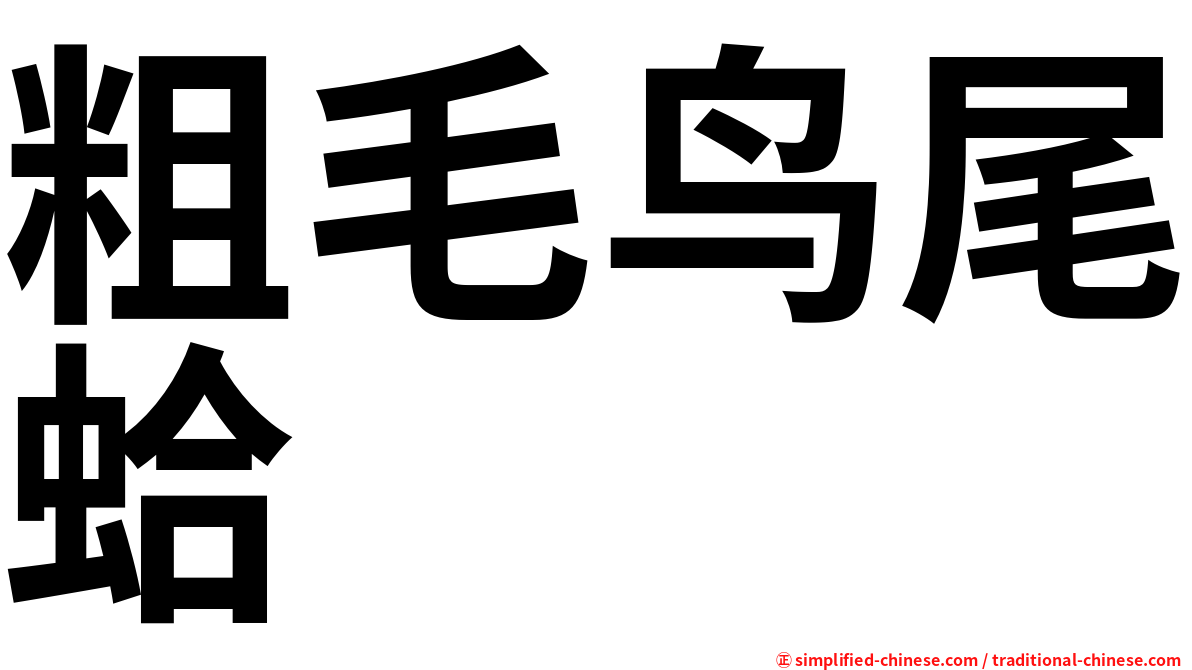 粗毛鸟尾蛤