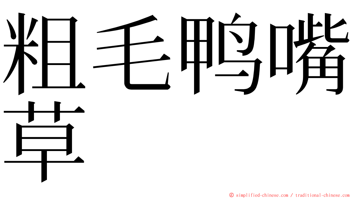 粗毛鸭嘴草 ming font