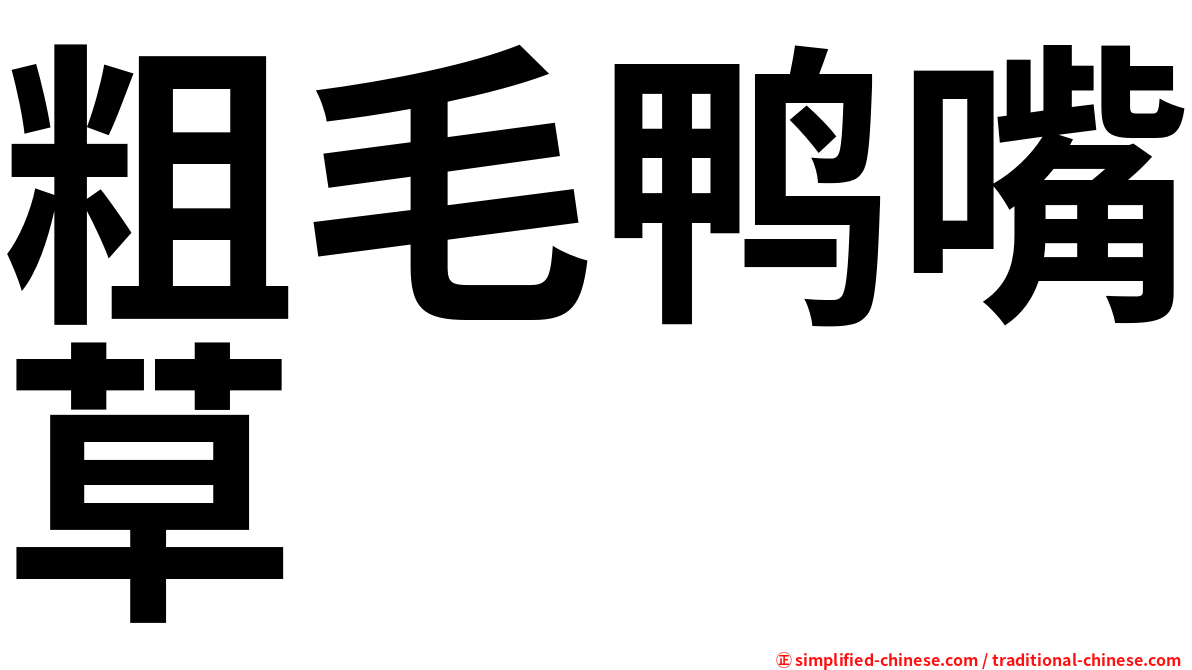 粗毛鸭嘴草