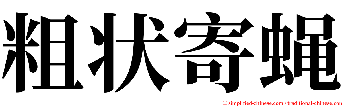 粗状寄蝇 serif font