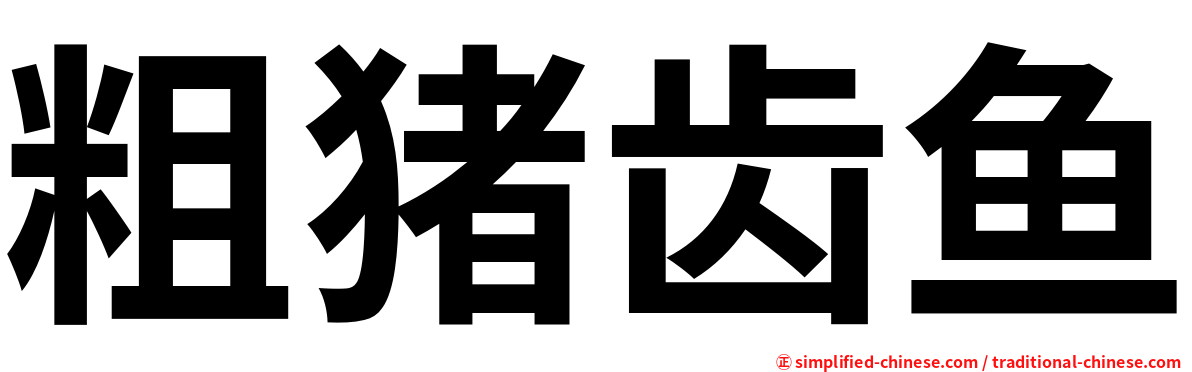粗猪齿鱼