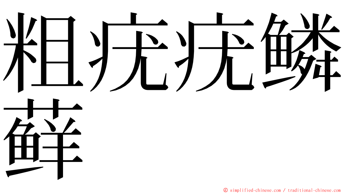 粗疣疣鳞藓 ming font