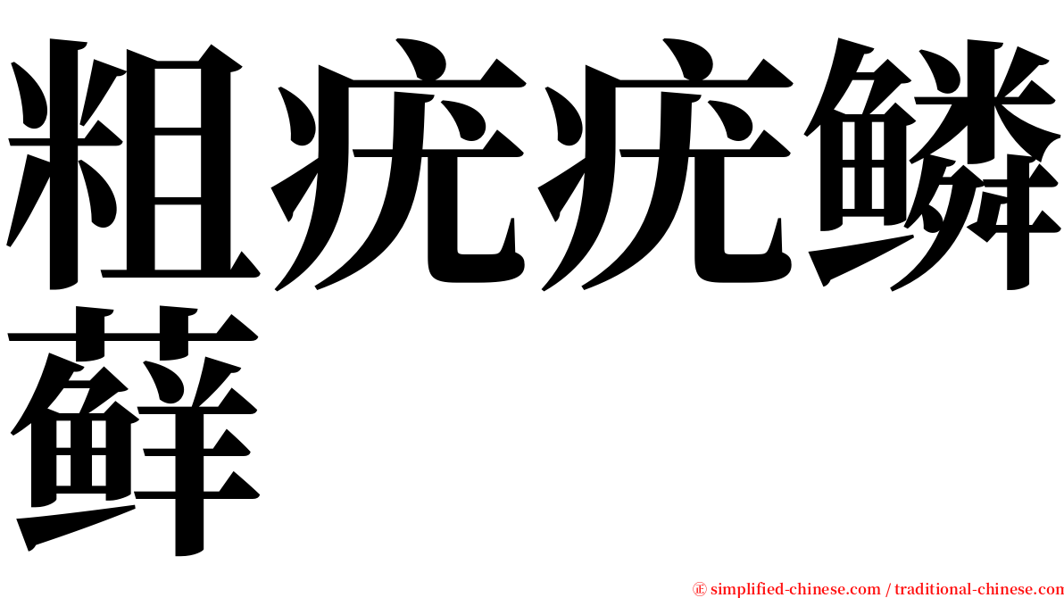 粗疣疣鳞藓 serif font