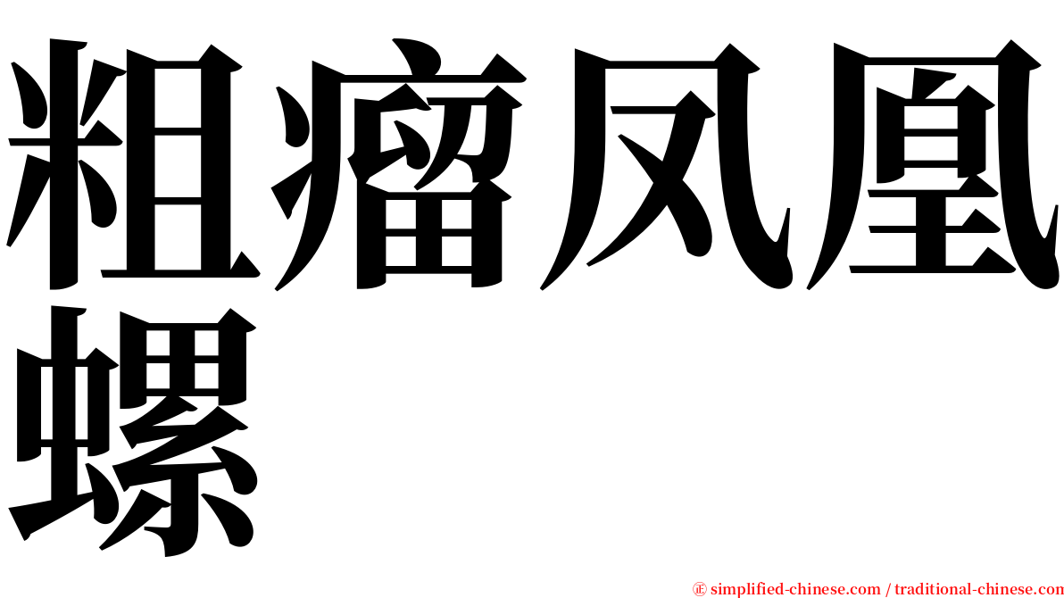 粗瘤凤凰螺 serif font
