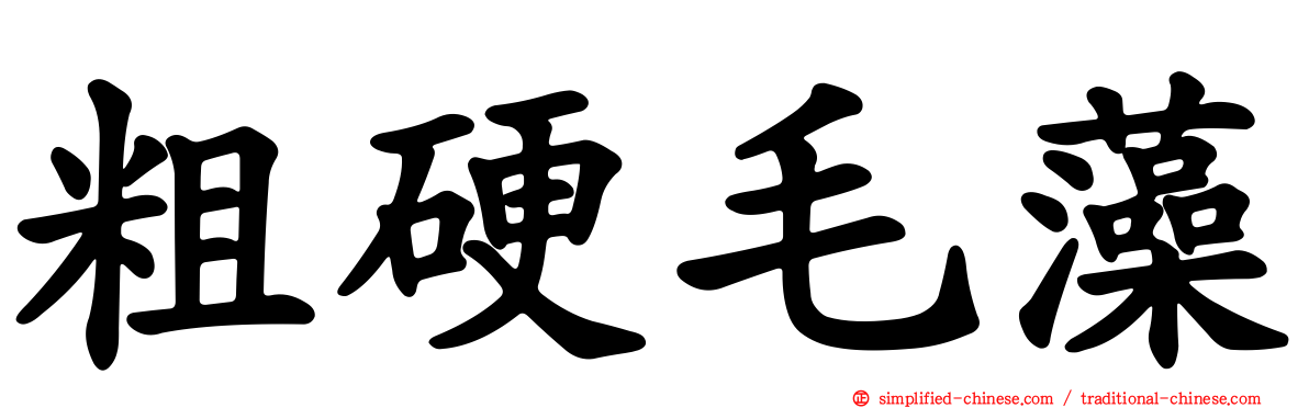 粗硬毛藻