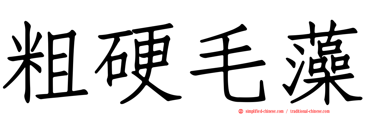 粗硬毛藻