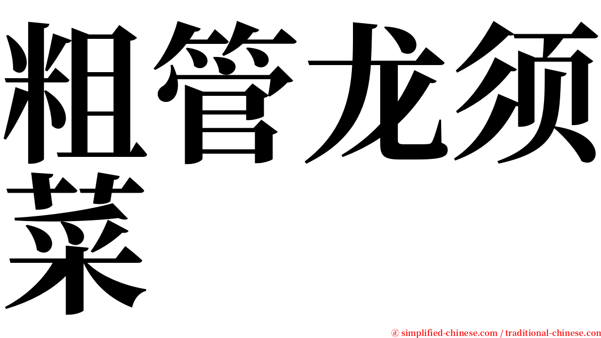 粗管龙须菜 serif font