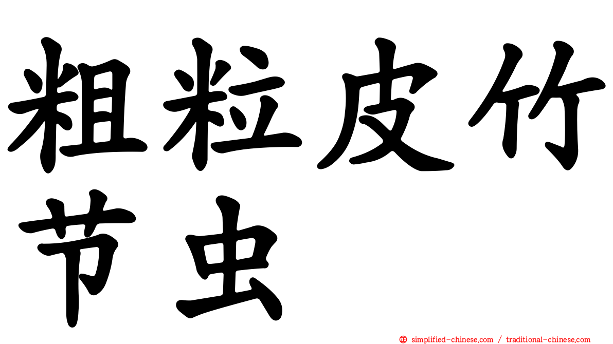 粗粒皮竹节虫