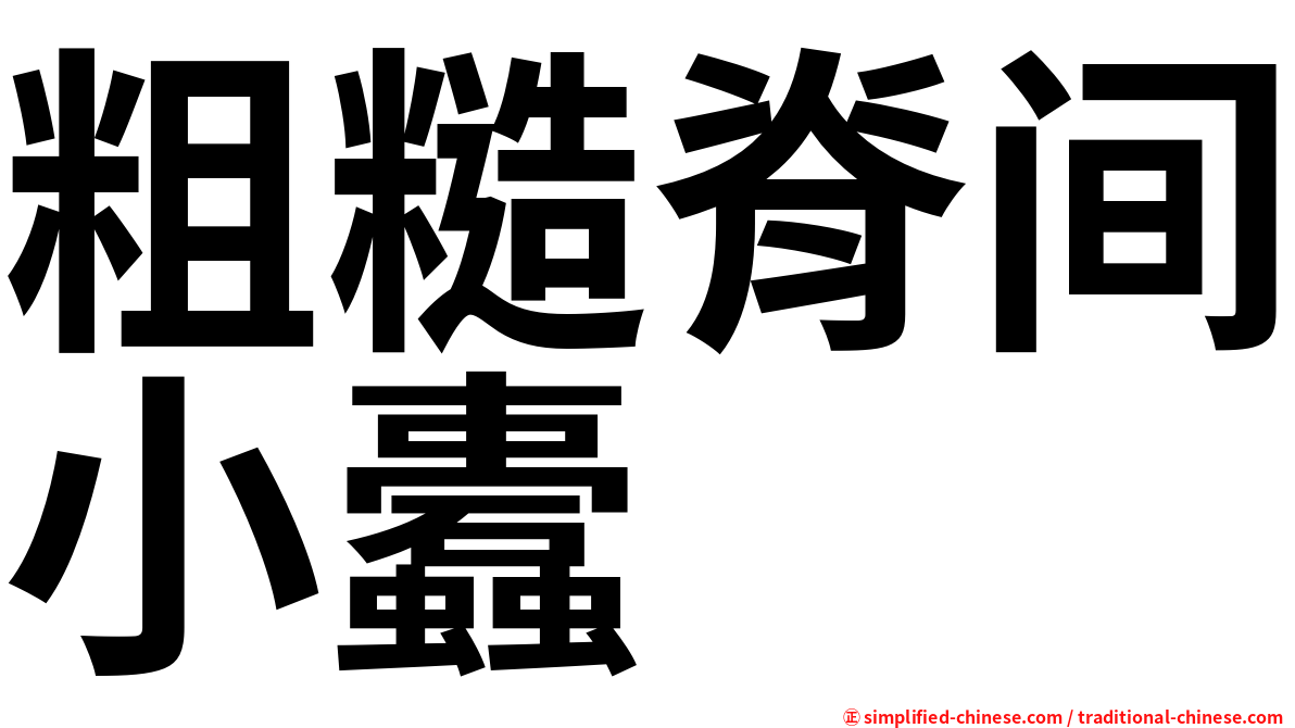 粗糙脊间小蠹