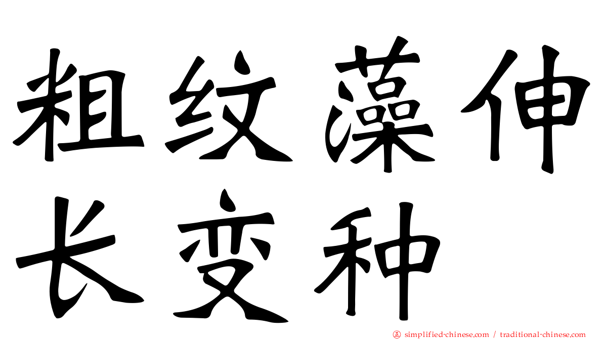 粗纹藻伸长变种