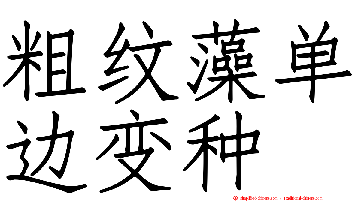 粗纹藻单边变种